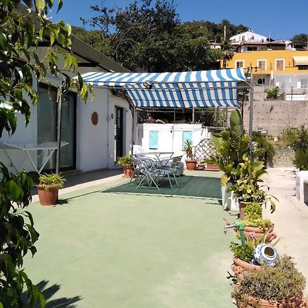 Raffaela Village via Scannella n32 Forio di Ischia Esterno foto