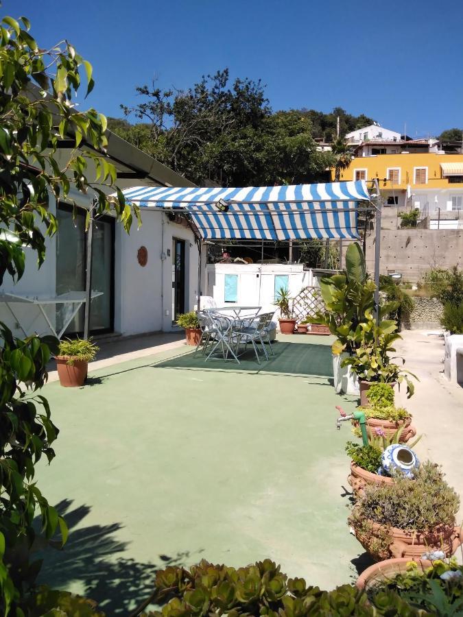 Raffaela Village via Scannella n32 Forio di Ischia Esterno foto